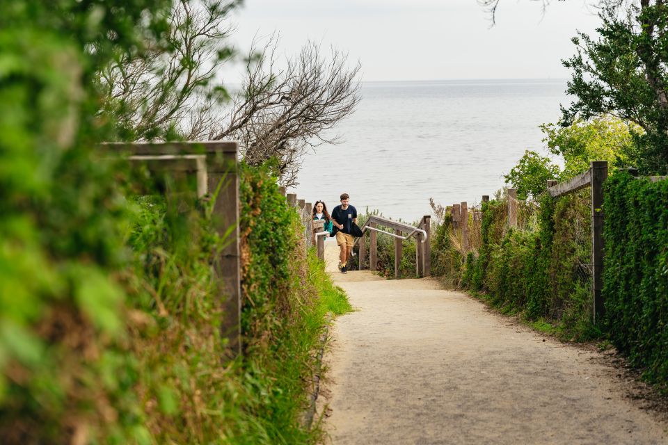 From Melbourne: Phillip Island Eco Wildlife Tour - Itinerary