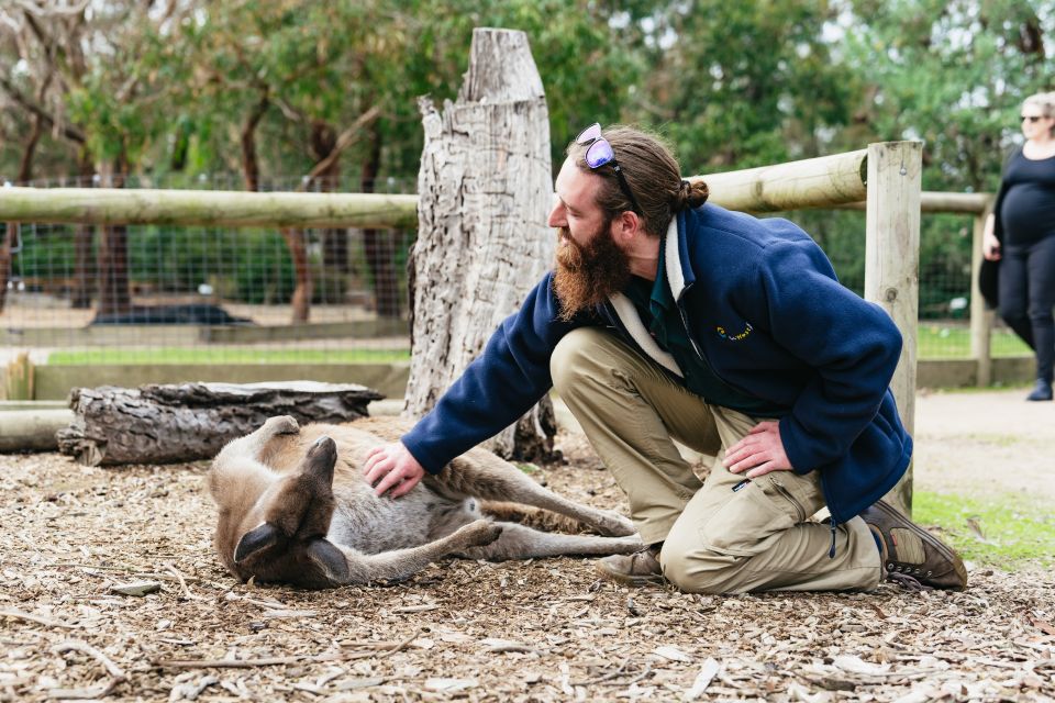 From Melbourne: Phillip Island Eco Wildlife Tour - Important Information