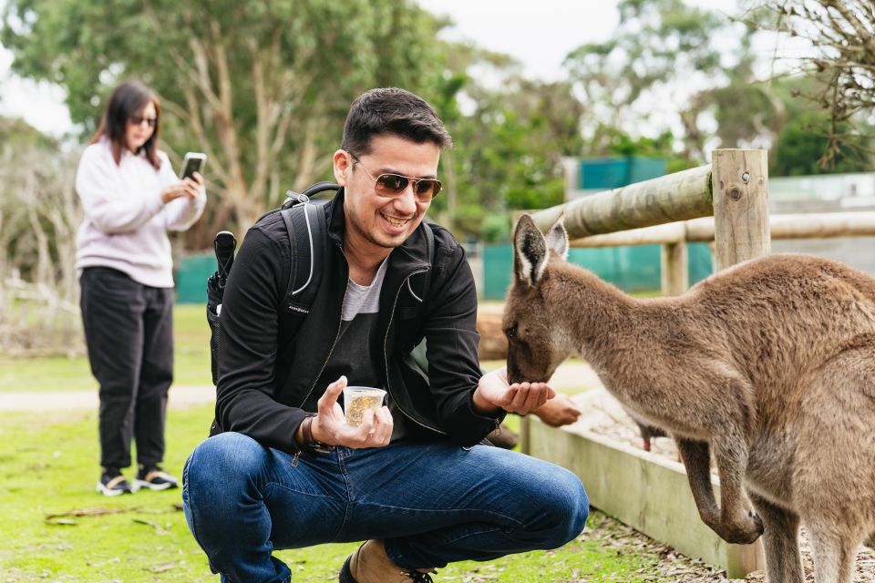 From Melbourne: Phillip Island Eco Wildlife Tour - Pickup Locations