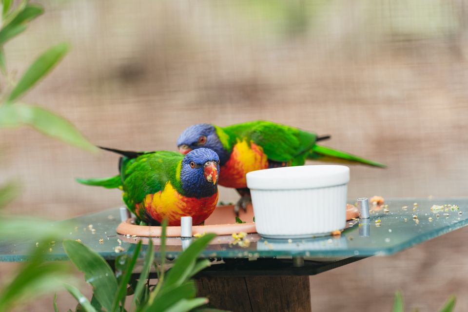 From Melbourne: Phillip Island Eco Wildlife Tour - Recap