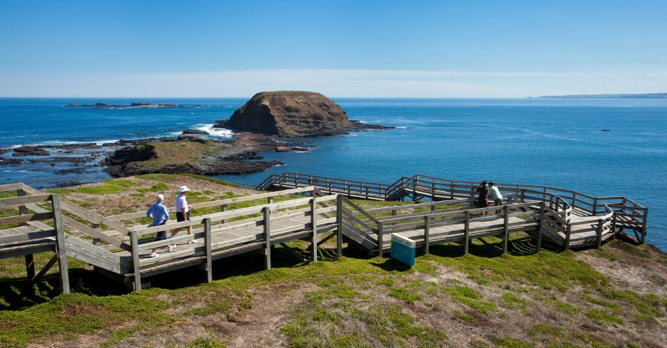From Melbourne: Phillip Island Penguin Parade Express Trip - Key Points