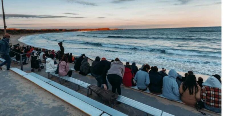 From Melbourne: Phillip Island Penguin Parade Private Tour - Who Is This Tour Best For?