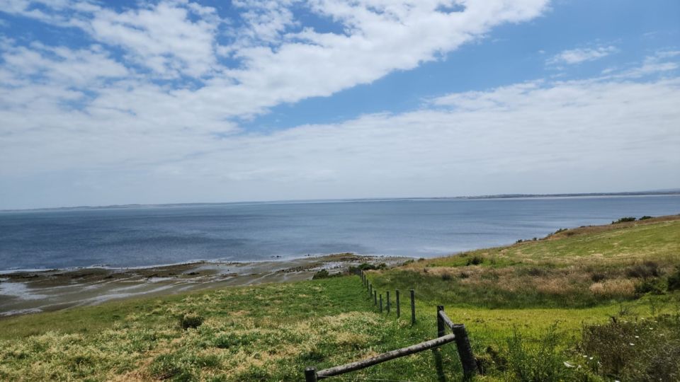 From Melbourne: Phillip Island Penguin Parade Private Tour - Tour Highlights