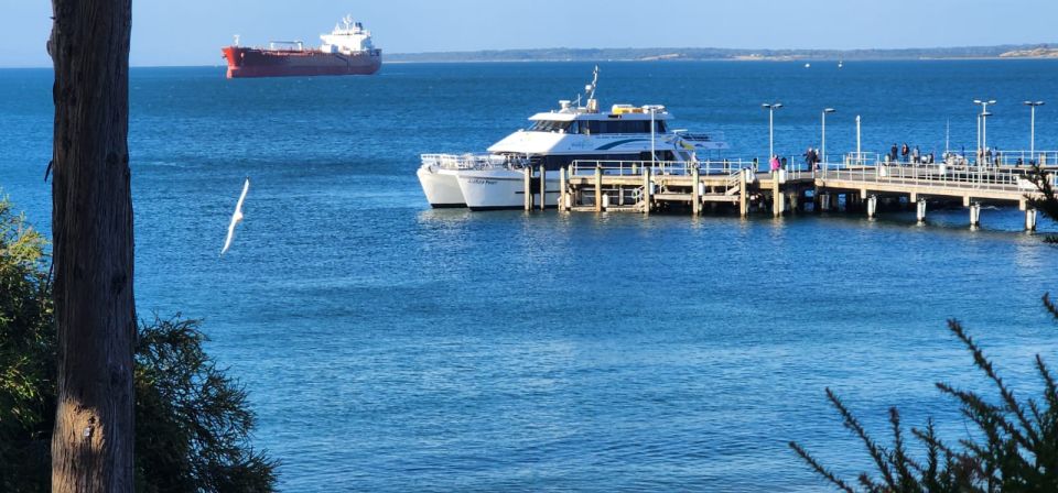 From Melbourne: Phillip Island Penguin Parade Private Tour - Phillip Island Attractions