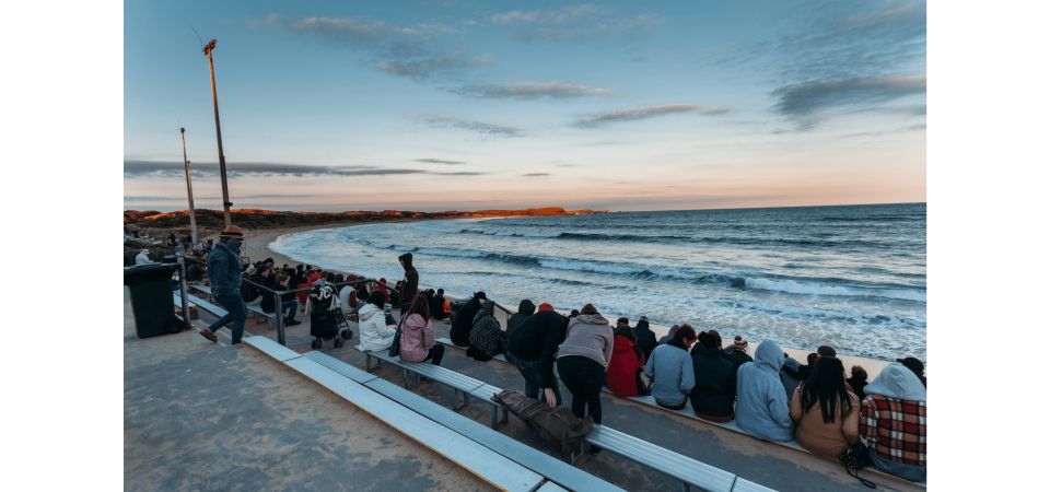 From Melbourne: Phillip Island Penguin Parade Tour - Key Points