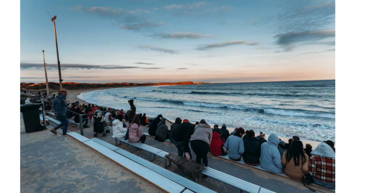 From Melbourne: Phillip Island Penguin Parade Tour - Tour Restrictions