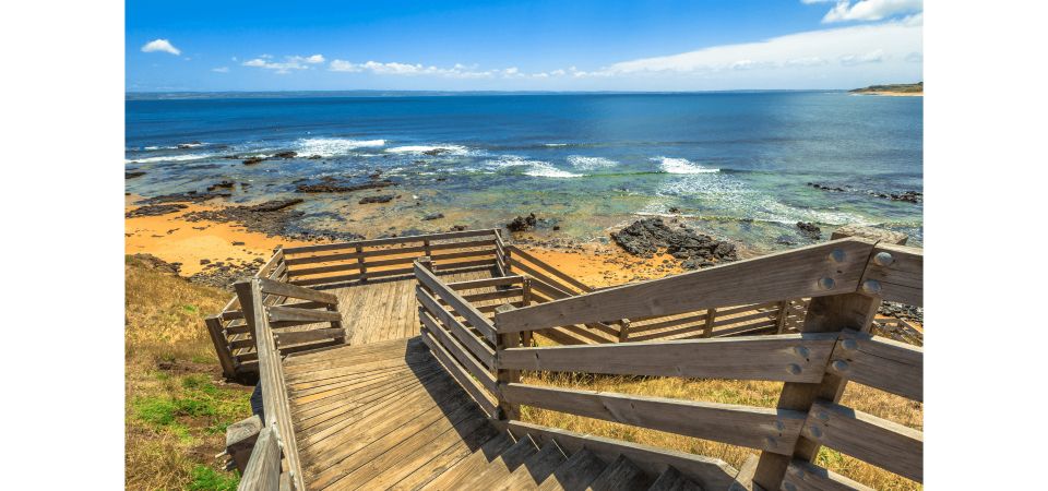 From Melbourne: Phillip Island Penguin Parade Tour - Booking Information
