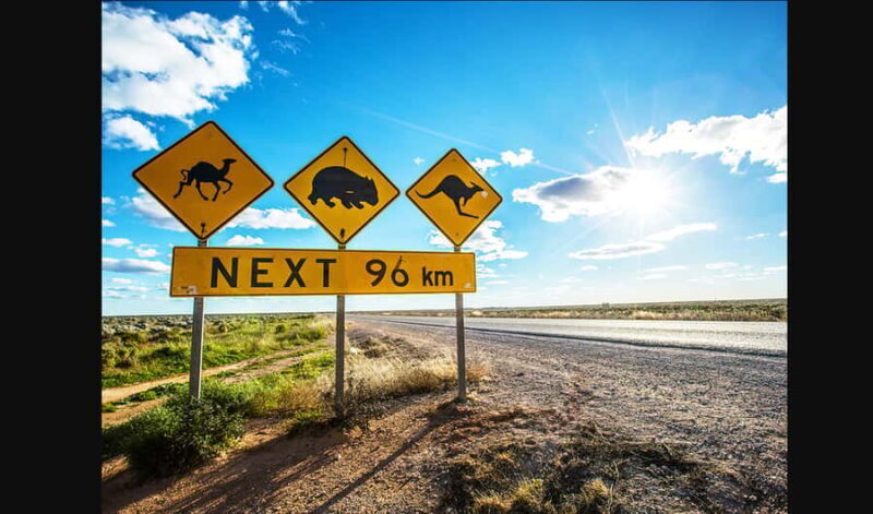 From Melbourne: Private Great Ocean Road Tour with Pickup - Who Should Consider This Tour?