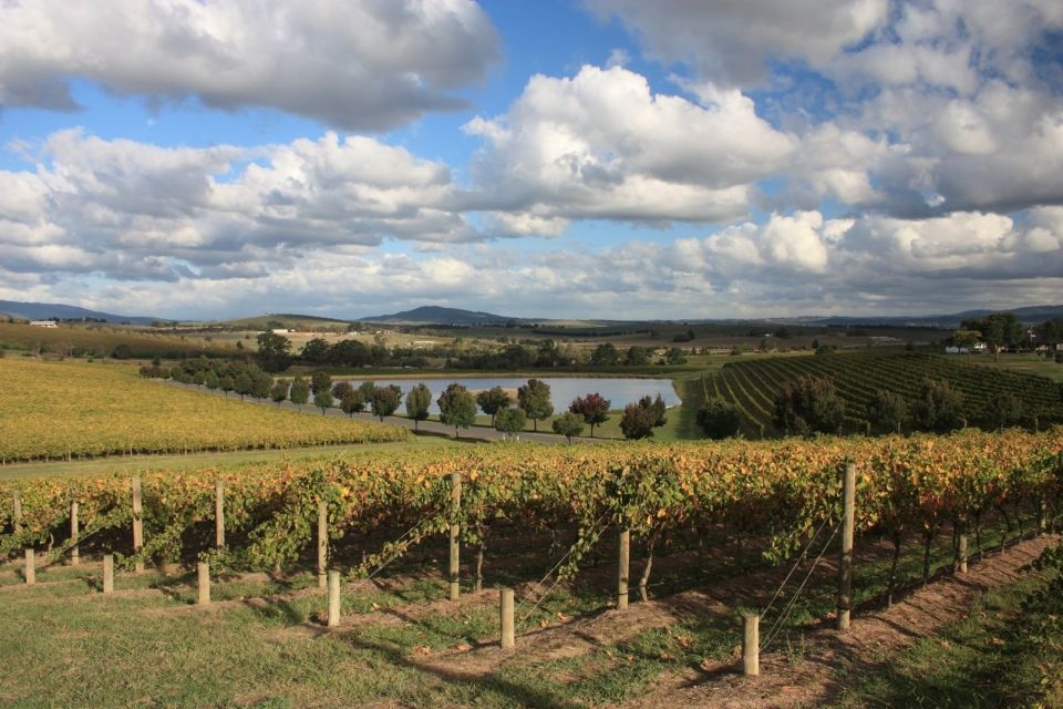 From Melbourne: Private Phillip Island Tour 11-Hour LGBTQ+ - Directions