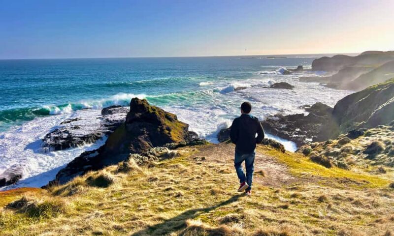 From Melbourne: Puffing Billy & Penguins Combo Tour Package - Who Will Love This Tour?