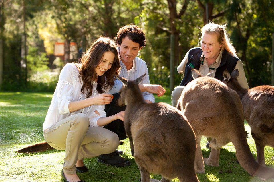 From Melbourne: Puffing Billy Steam Train & Wildlife Tour - Experience Highlights