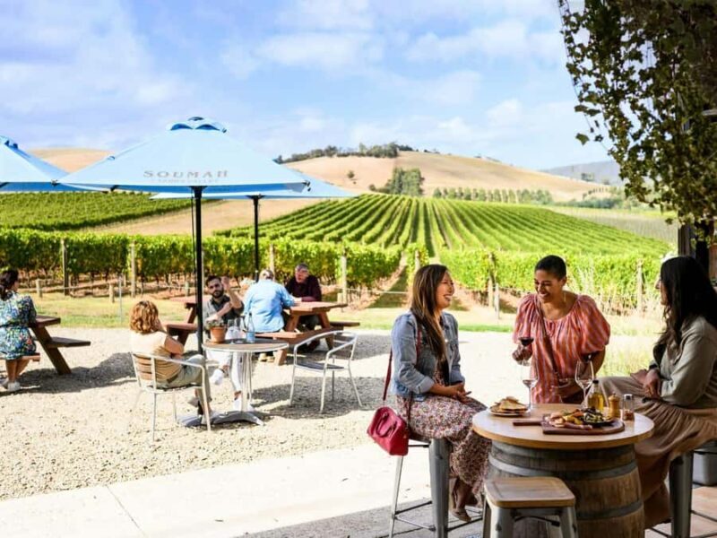 From Melbourne: Redwoods Forest & Yarra Valley Wine Tour - Exploring the Tour Itinerary