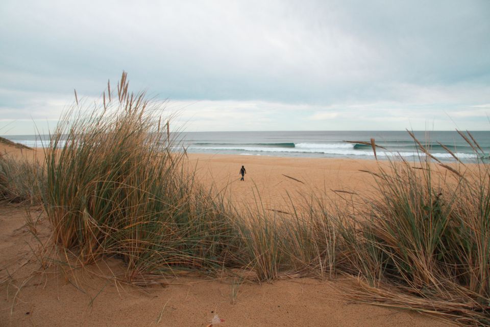 From Melbourne: Small Group Great Ocean Road Tour - Frequently Asked Questions