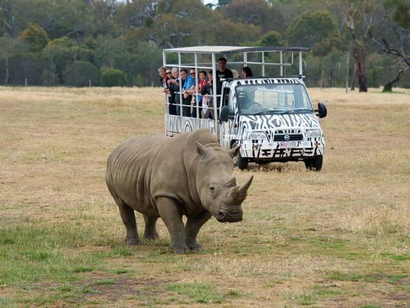From Melbourne: Werribee Open Range Zoo & Werribee Mansion - A Practical Overview of the Tour