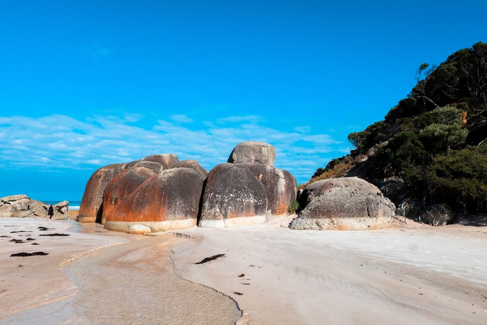 From Melbourne: Wilsons Promontory Day Tour - Key Points