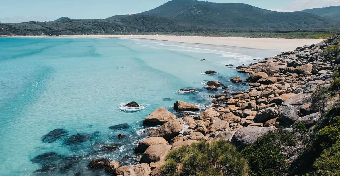 From Melbourne: Wilsons Promontory Day Tour - What to Bring