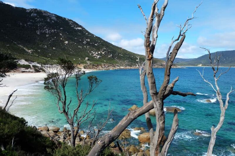 From Melbourne: Wilsons Promontory Small Group Day Tour - FAQs