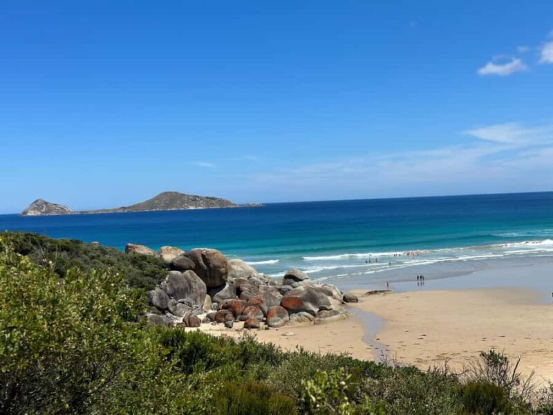 From Melbourne: Wilsons Promontory Wilderness Tour - An In-Depth Look at the Wilsons Promontory Wilderness Tour