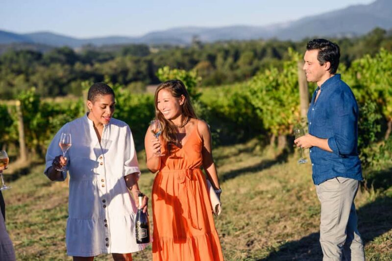 From Melbourne: Yarra Valley Chandon Cheese & Kangaroos Tour - A Detailed Look at the Yarra Valley Chandon Cheese & Kangaroos Tour