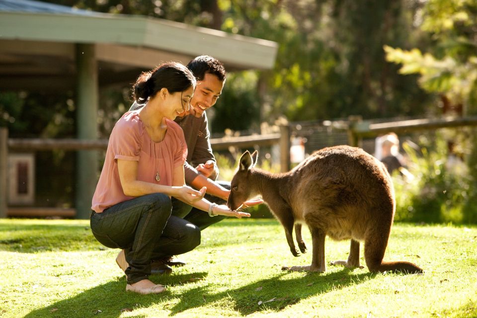 From Melbourne: Yarra Valley Wildlife & Wine Day Tour - Important Information
