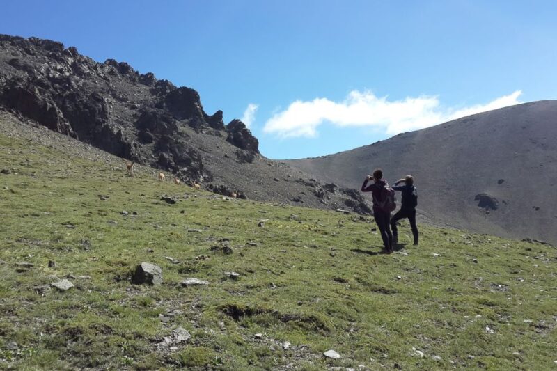 From Mendoza: Full-Day Cordon Del Plata Andes Trek - Daily Itinerary