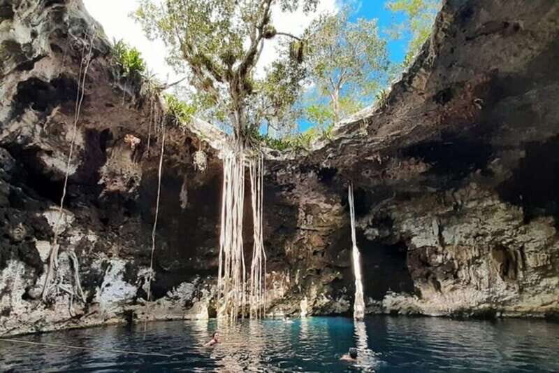 From Merida: 3 Cenotes - A Deep Dive into the Tour Experience
