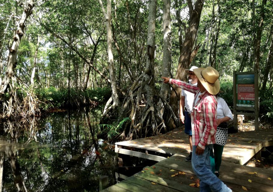 From Merida: Celestun Biosphere Reserve Tour - Boat Ride Through Estuary