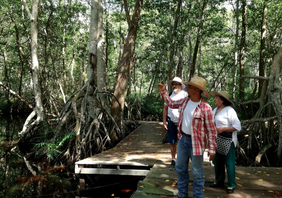 From Merida: Celestun Biosphere Reserve Tour - Free Time at Beach