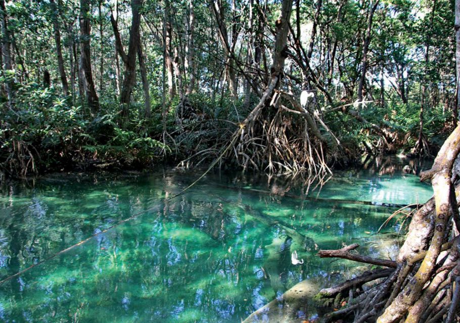 From Merida: Celestun Biosphere Reserve Tour - Inclusions and Exclusions
