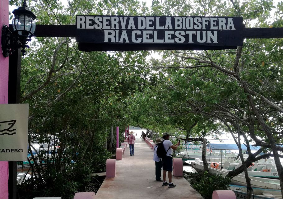 From Merida: Celestun Biosphere Reserve Tour - Frequently Asked Questions