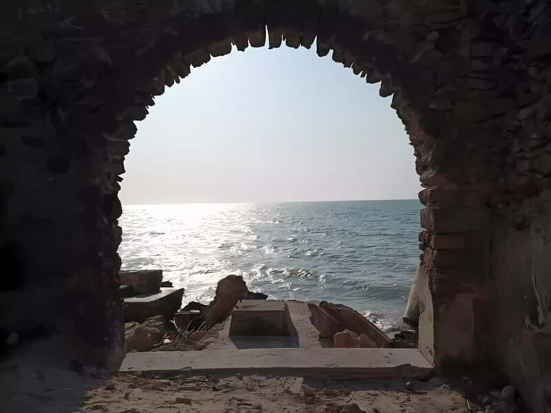 From Merida: Celestun, flamingos and beach - The Celestún Biosphere Reserve and Flamingos