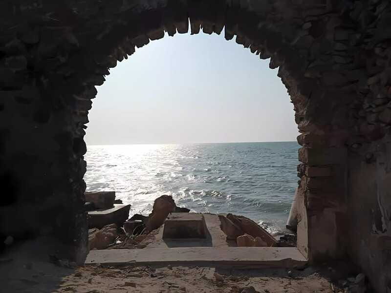 From Merida: Celestun, flamingos and beach - Exploring the Mangroves and Wildlife