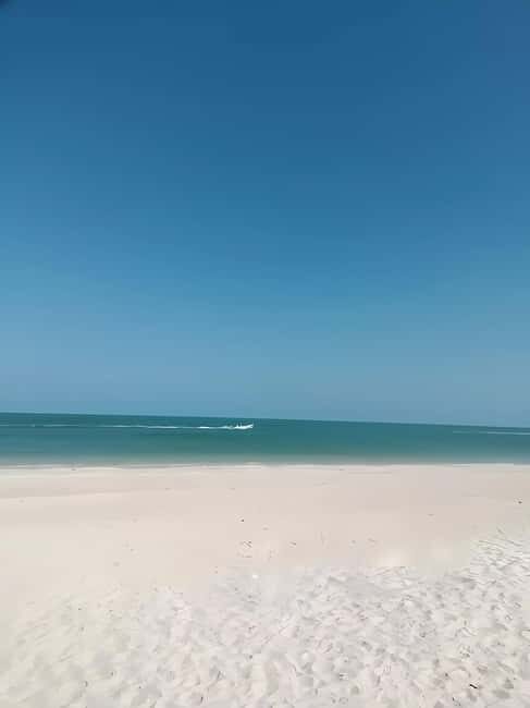 From Merida: Celestun, flamingos and beach - Lunch by the Sea and Beach Time