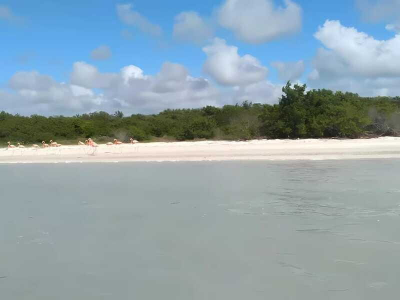 From Merida: Celestun, flamingos and beach - The Practical Side: What’s Included and What’s Not