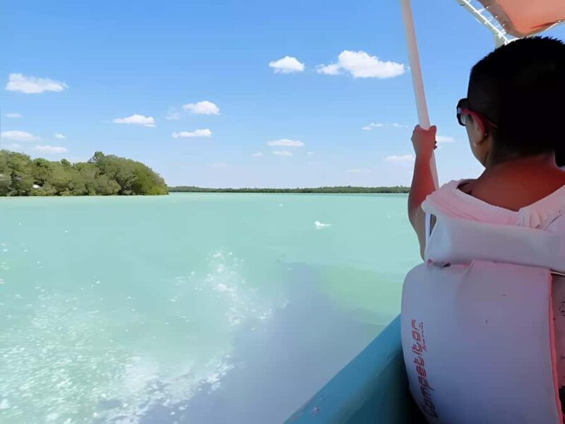 From Mérida: Celestún, flamingos, and the beach - Review Highlights & Authentic Perspectives