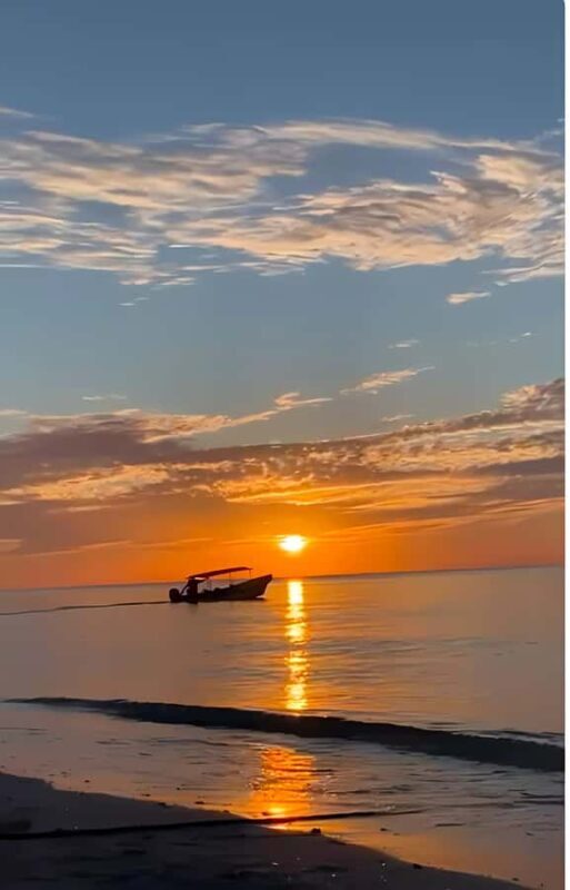 From Mérida: Celestún, flamingos, and the beach - Final Thoughts