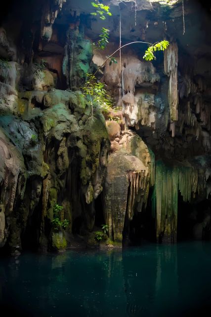 From Merida: Chichen Itza + Mayan Sanctuary and Cenote - Key Points