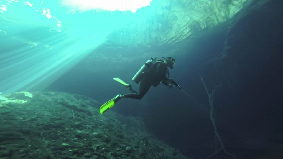 From Merida: Diving in a Cenote - Natures Depth Discovery