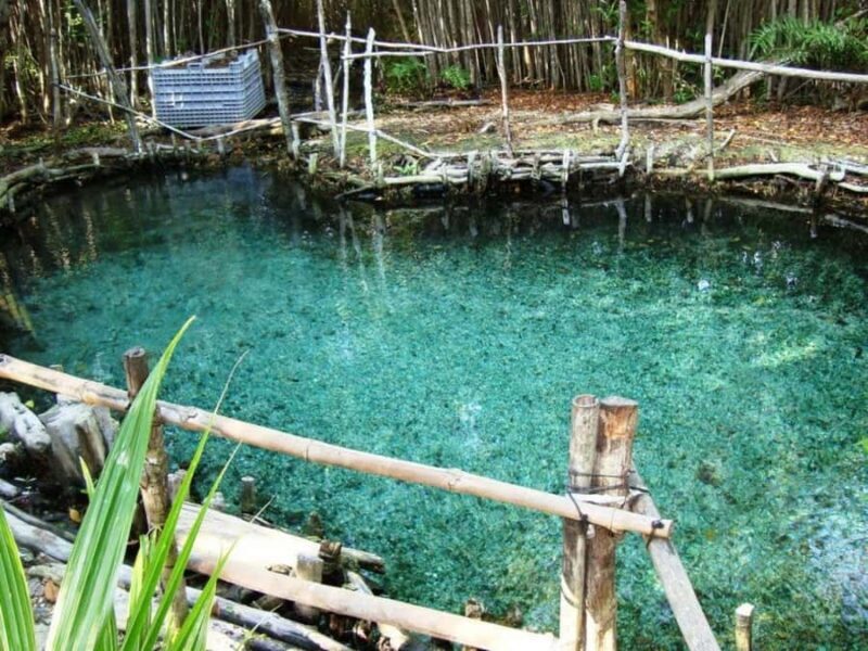 From Mérida: Dzibichaltún, El Corchito, and Progreso Trip - A Deep Dive into the Experience