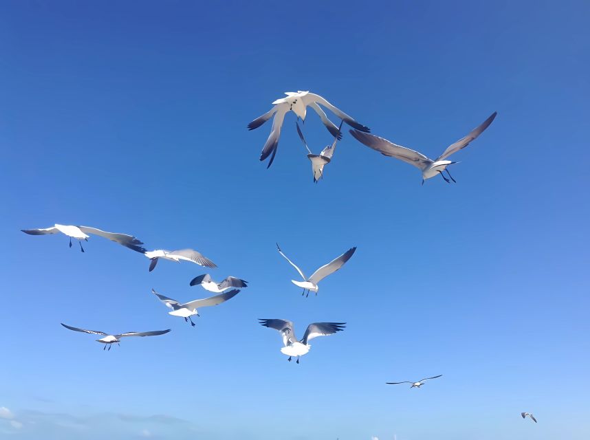 From Mérida: Enjoy Nature, Cenotes and Beach in One Day - What to Bring for the Tour