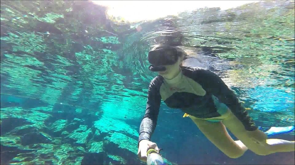 From Merida: Explore Two Cenotes Tour With Lunch - Flora and Fauna