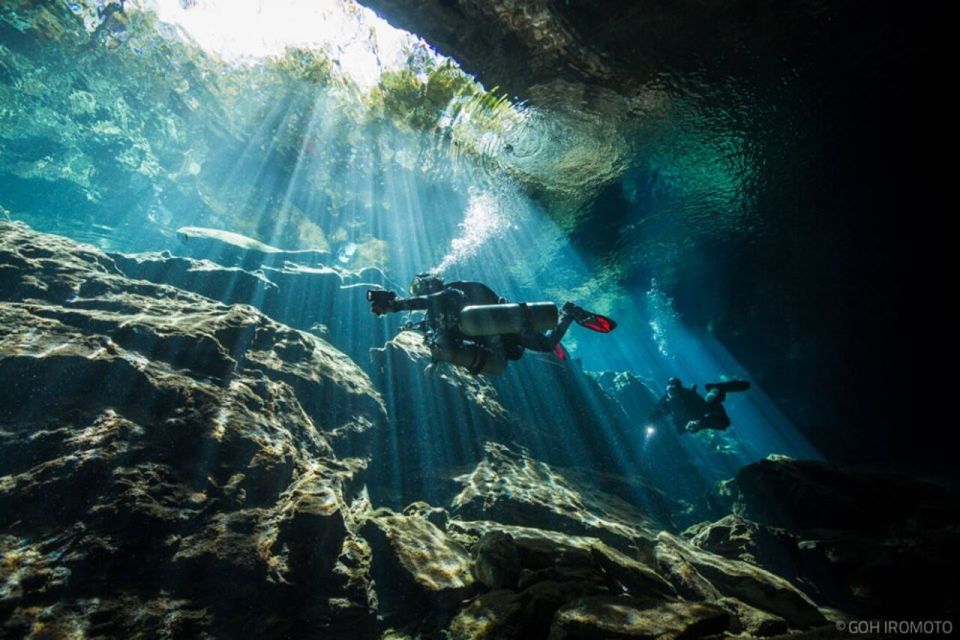 From Merida: Explore Two Cenotes Tour With Lunch - Cancellation and Booking