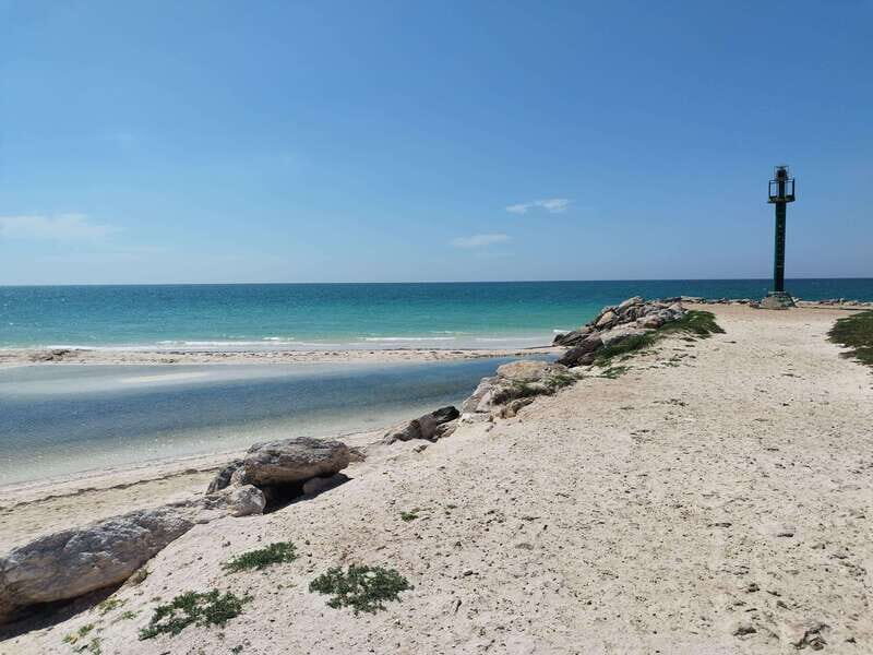 From Merida: Isla Columpios & Progreso - A Detailed Breakdown of the Tour Experience