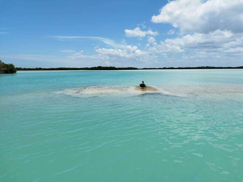 From Merida: Isla Columpios & Progreso - Practical Tips for Travelers