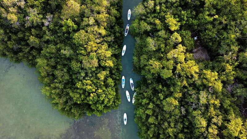 From Mérida: Paddel board, Sunshine and beach - Who Should Consider This Tour?