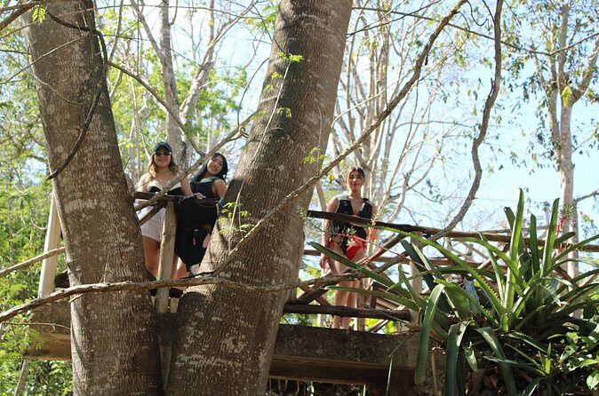 From Merida to Cancun or Tulum Stop at Chichen Itza and Cenote - The Highlight: Ik Kil Cenote