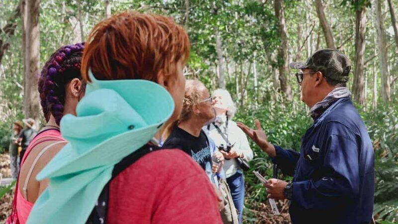 From Merida to Celestún: Biosphere, Flamingos & Beach Escape - An In-Depth Look at the Tour