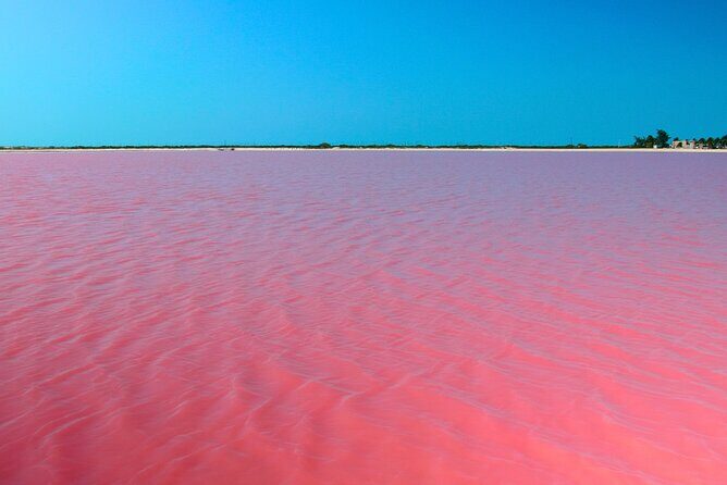 From Merida Tour to Las Coloradas and Río Lagartos - FAQ