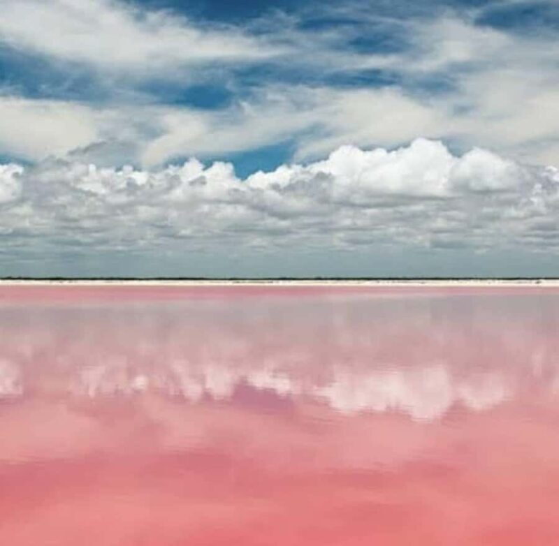 From Merida: Tour to Las Coloradas with Lunch & boat - An In-Depth Look at the Experience