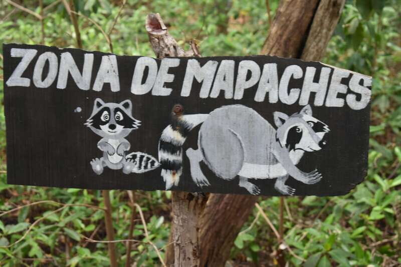 From Merida: Transfer to Celestun and Sisal - Practical Details and Tips